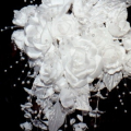 Bridal Headpiece