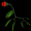 3D Model - Bud Project